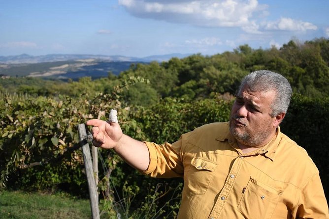Montalcino wine tour - Returning to Montalcino at about 7 p.m.