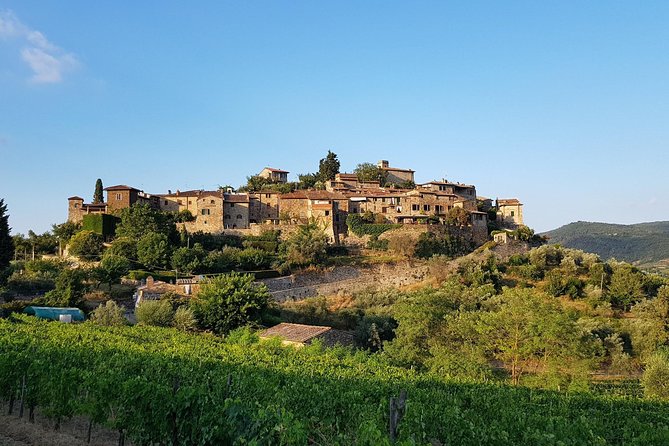 Montefioralle Winery - Tour and Wine Tasting in Chianti - Who will enjoy this winery visit