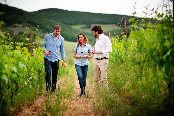 Montefioralle Winery - Tour and Wine Tasting in Chianti - What happens during the 75-minute visit
