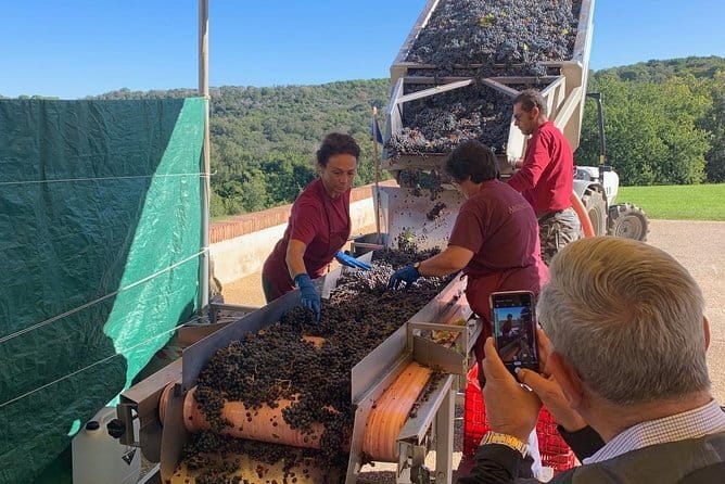 Montepulciano Pienza Montalcino Tour from Florence - Pienza: a shorter stop with cheese at the center