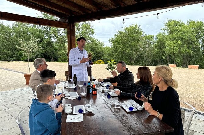 Olive Oil Tours and Tasting at Frantoio di Montalcino - From olive trees to bottled oil