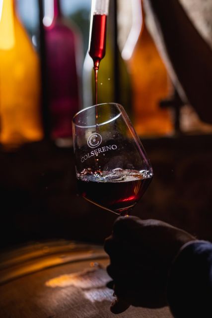Picnic in the organic vineyards of Brunello - What the $34 picnic includes