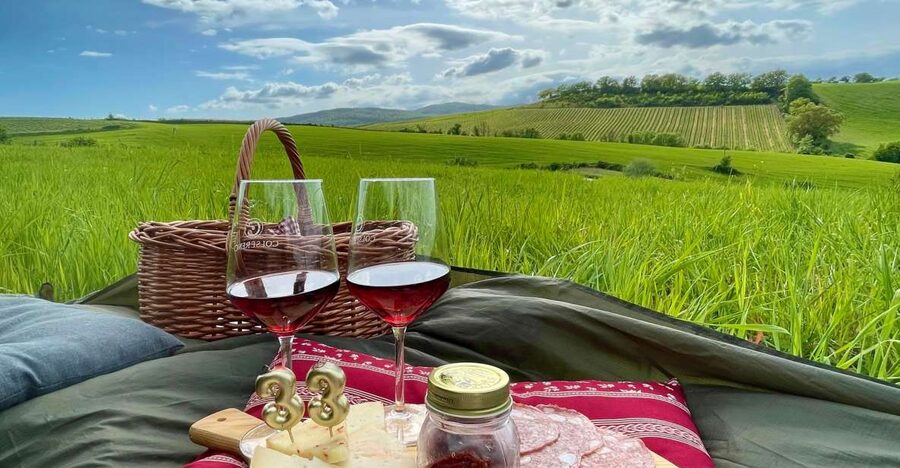 Picnic in the organic vineyards of Brunello - Settling into the private vineyard setting