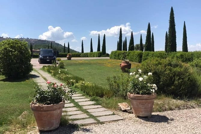Pisa and Lucca Day Trip from Florence - Lucca trades spectacle for atmosphere