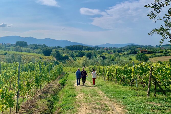 Pisa and Lucca Tour from Florence - How to Use Your Free Time Well