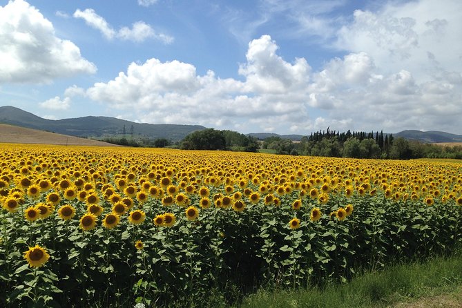 Pisa and San Gimignano Tour from Florence - Timing, pickup, and what is included
