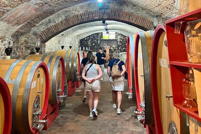 Pisa, Vinci, Tuscany, Wine tasting all in one day! - Small Group - Who Will Enjoy This Day Most