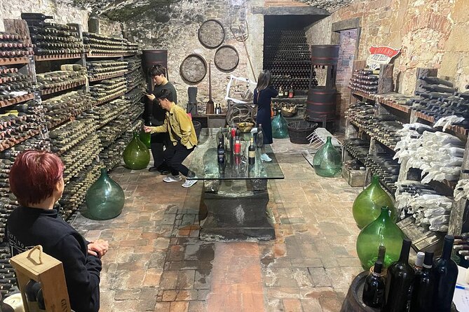 Pisa, Vinci, Tuscany, Wine tasting all in one day! - Small Group - A Possible Rome Departure