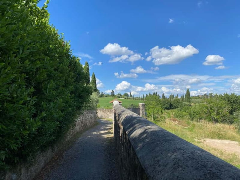 Premium Chianti E-Bike Tour, Food Wine Tasting + Photo shoot - From Piazza Ognissanti to the Tuscan Hills