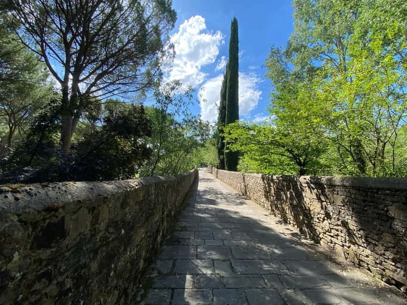 Premium Chianti E-Bike Tour, Food Wine Tasting + Photo shoot - Gelato, Photos, and Useful Extras