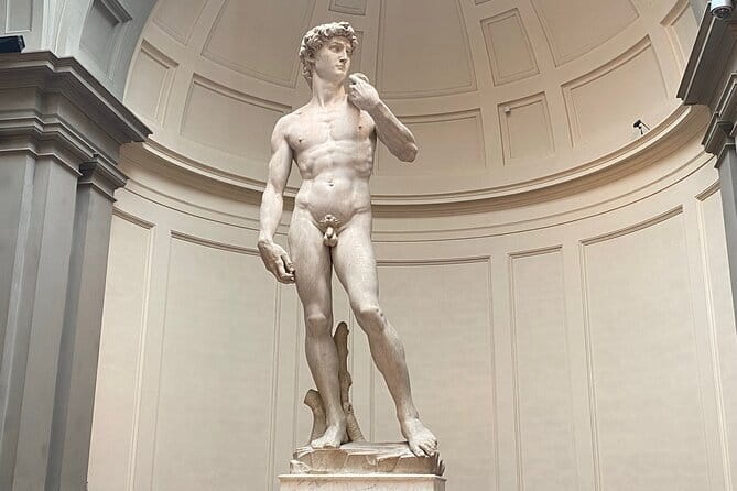 Priority Access to Michaelangelo's David Guided Tour - What the one-hour schedule really gives you