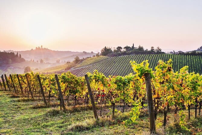 Private Best of Tuscany Hill Towns Tour with lunch from Florence - The winery stop, lunch, and wine tasting