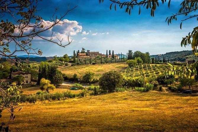 Private Carmignano Tour: The First Cabernet Sauvignon in Tuscany - Key points to know before booking