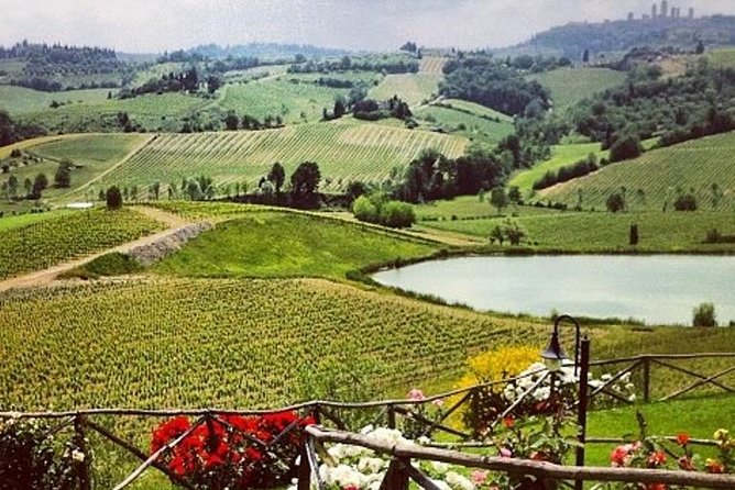 Private Chianti Classico Tour with wine and food tasting in a Historic Estate - Leaving Florence for Chianti Classico country