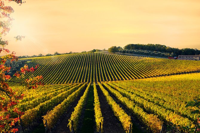 Private Chianti Classico Tour with wine and food tasting in a Historic Estate - The private format and what it really buys you