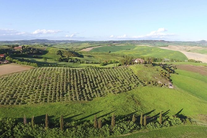 Private Chianti Classico Tour with wine and food tasting in a Historic Estate - Is $341.36 per person a fair price?