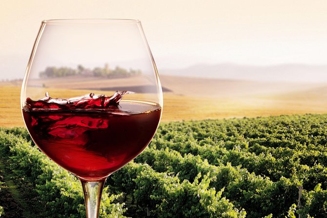 Private Chianti Classico Tour with wine and food tasting in a Historic Estate - Who should book this Chianti outing?