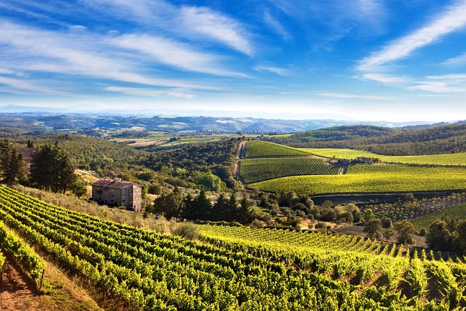Private Chianti Classico Tour with wine and food tasting in a Historic Estate - What you may taste at the table