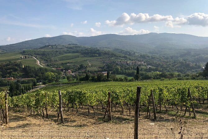 Private Chianti Wine Tasting from Florence, Half Day Experience - Leaving Florence for the Chianti Hills