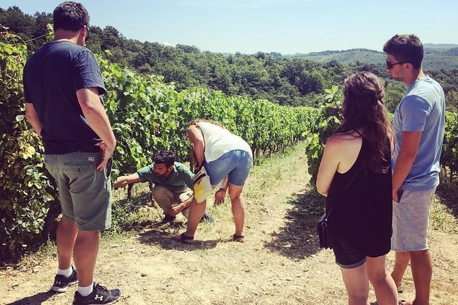 Private Chianti Wine Tour - Key points at a glance