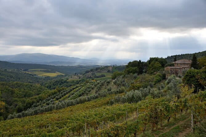 Private Chianti Wine Tour - Leaving Florence for Chianti’s vineyard roads