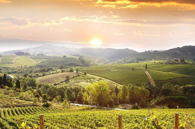 Private Chianti wine tour leaving from Florence - Montefioralle starts the day with a hilltop walk