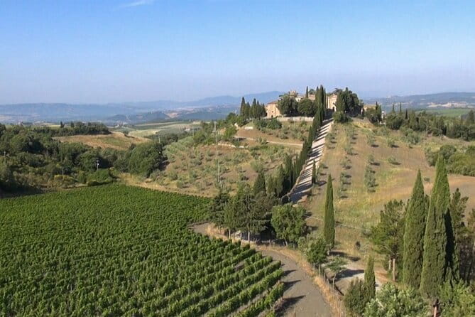 Private Chianti Wine Tour - Greve in Chianti and the story of the wine region