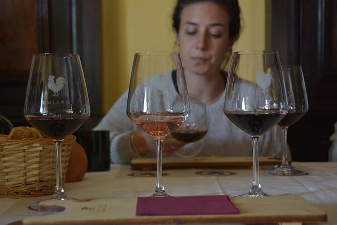 Private Chianti with Lunch Half Day from Florence - Tastings That Make Sense With Tuscan Food