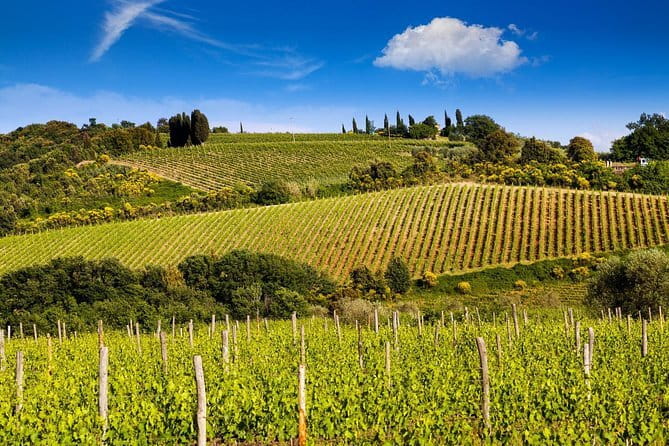 Private Classic Wine Tour in Chianti from Florence - Key points to know before booking