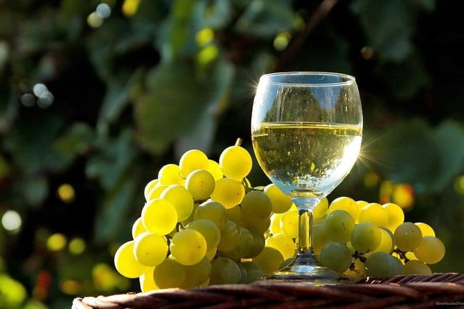 Private Classic Wine Tour in Chianti from Florence - Castellina in Chianti and the Classico identity