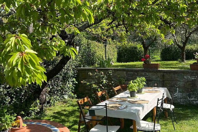 Private Cooking Lesson with a Typical Italian Family - A closer look at the recipes and ingredients
