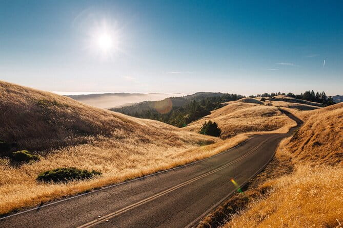 Private Day Tour from Florence to Pisa, Chianti and San Gimignano - Comfort, flexibility, and the drivers