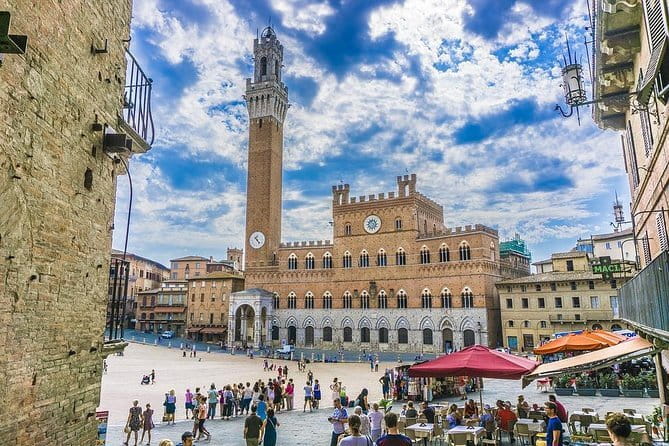 Private Day-Trip to Siena and San Gimignano - Siena and the sweep of Piazza del Campo