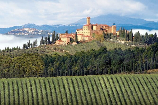 PRIVATE Full-Day Brunello Wine experience from Florence - La Fornace: a small winery with a family at the center