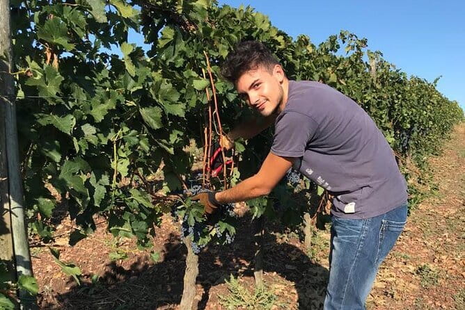 PRIVATE Full-Day Wine Experience in Chianti Classico. - Greve in Chianti starts the morning