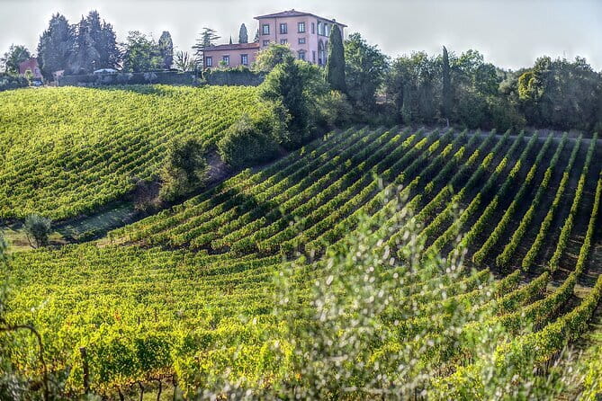 PRIVATE Full-Day Wine Experience in Chianti Classico. - Montefioralle offers stone lanes and a quiet pause