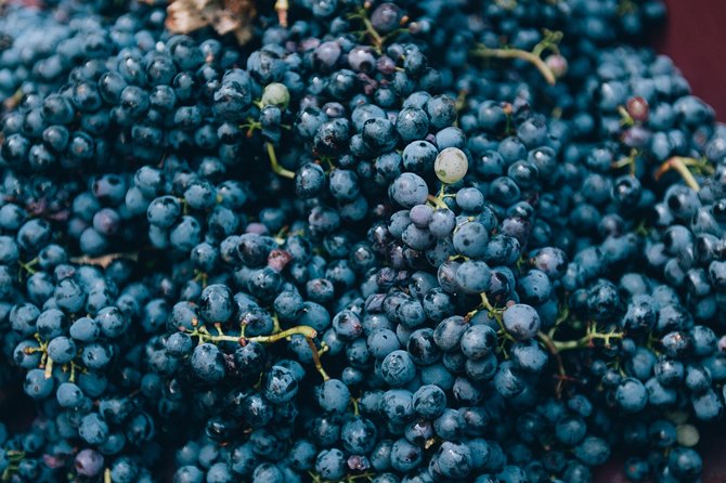 Private Grape stomping in Chianti from Florence - The lunch is a major part of the value