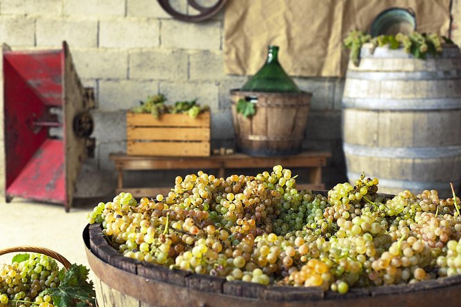 Private Grape stomping in Chianti from Florence - Castellina in Chianti and time to wander