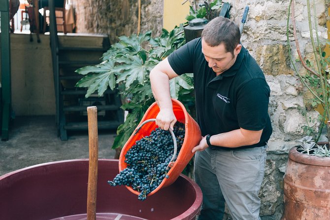 Private Grape stomping in Chianti from Florence - Is $473.22 per person fair?