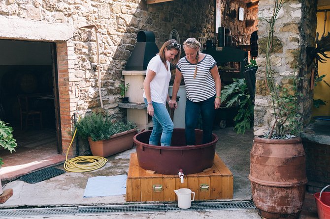 Private Grape stomping in Chianti from Florence - At the family farm with Silvia