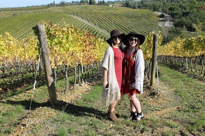 PRIVATE Half-Day Tour: Chianti Classico Wine Experience. - Greve in Chianti and the Falorni butcher shop