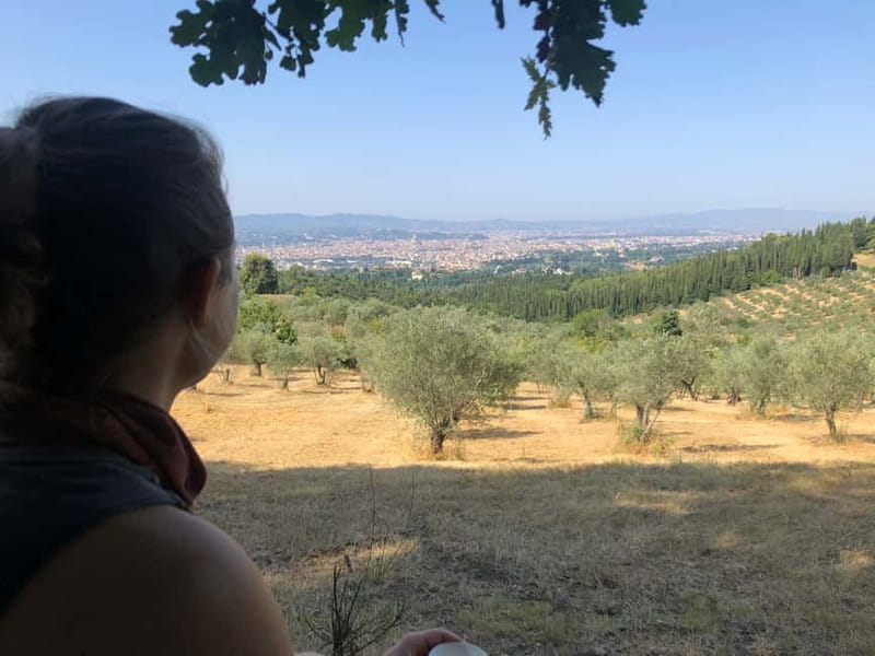 Private Hiking Florence Tour with Wine and Lunch or semi-pri - How difficult is the eight-kilometer route?