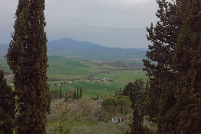 Private Montepulciano & Pienza Day Trip from Florence - What the chauffeur service adds