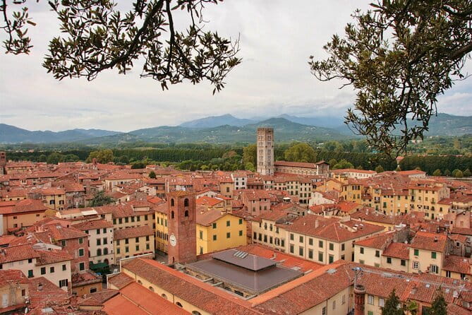 Private Pisa and Lucca Tour from Florence with Transportation - Why a private Pisa and Lucca day works