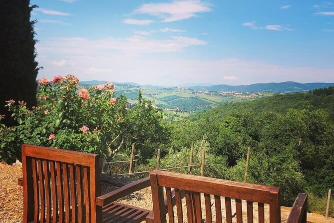 Private Top Brunello Montalcino Wine Tour & Food Pairing Session - The drive through Florence, Siena, and the clay hills