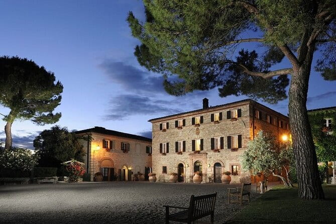 Private Tour and Wine Tasting at Castle-Wineries in Chianti from Florence - Is $598.26 per person good value?