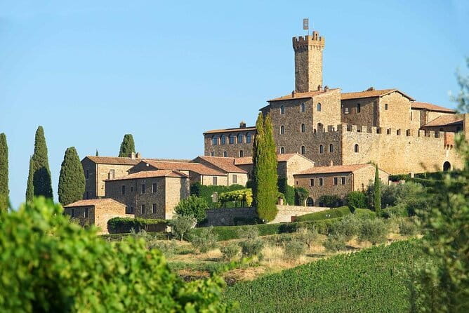 Private Tour and Wine Tasting at Castle-Wineries in Chianti from Florence - Gaiole in Chianti: medieval buildings and contemporary art