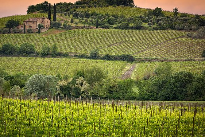 Private tour Brunello di Montalcino and Nobile di Montepulciano wine experience in Tuscany - Montalcino and the Brunello lunch