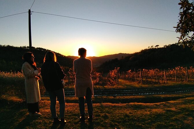 Private Tour- Chianti By Minivan At Sunset - Private minivan comfort and group size