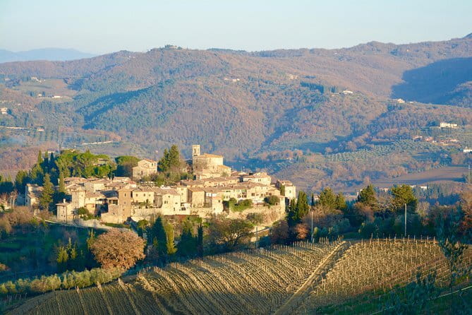 Private Tour: Chianti Region Tour by Minivan - Key points to know before booking